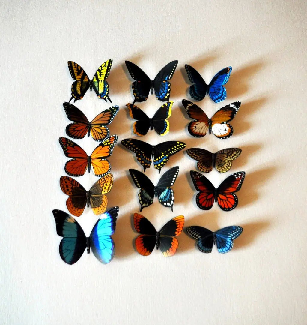 Butterfly Magnets Set of 15 DougWalpusArtStudio