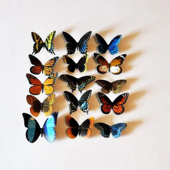 Butterfly Magnets Set of 15 DougWalpusArtStudio