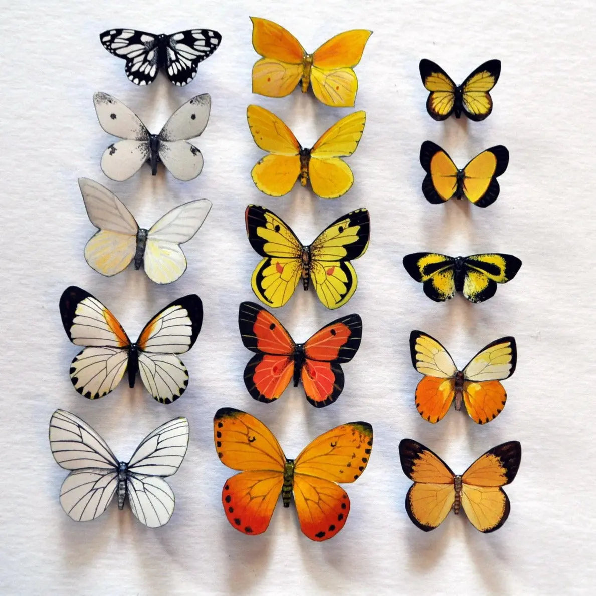 Butterfly Magnets set of 15 DougWalpusArtStudio
