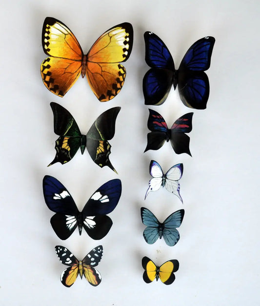 Butterfly Magnets set of 9 DougWalpusArtStudio