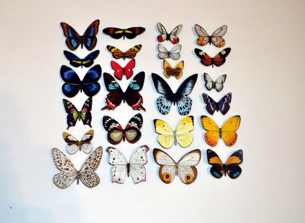Butterfly Refrigerator Magnets set of 24 DougWalpusArtStudio