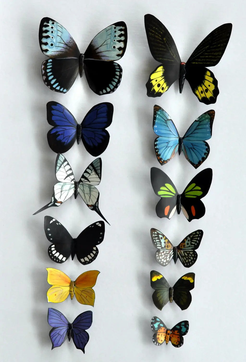 Butterfly refrigerator magnets set of 12 DougWalpusArtStudio