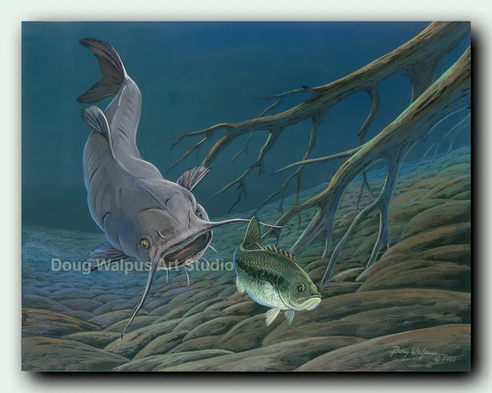 Catfish chasing bass art print DougWalpusArtStudio