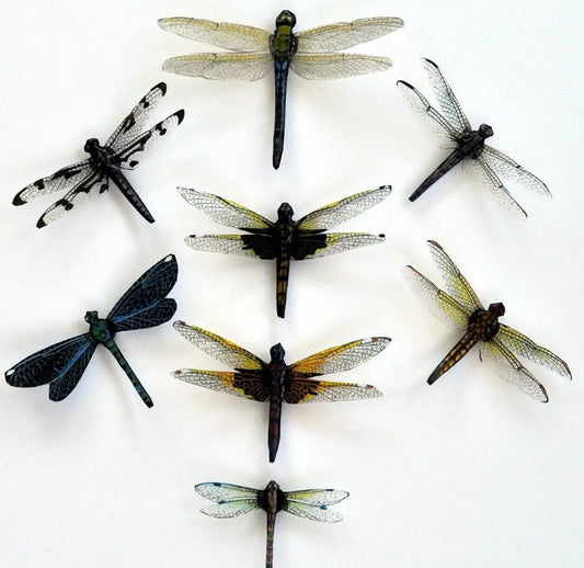 Dragonfly Magnets DougWalpusArtStudio