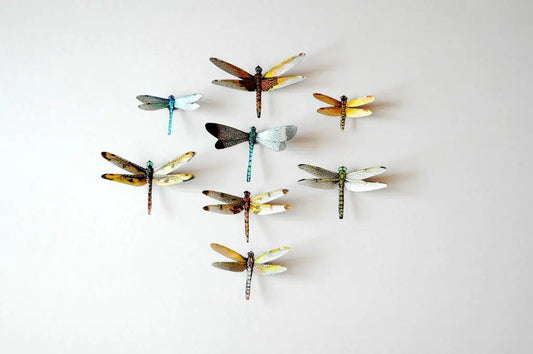 Dragonfly Magnets DougWalpusArtStudio