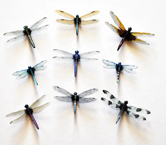 Dragonfly Magnets, Refrigerator Magnets DougWalpusArtStudio