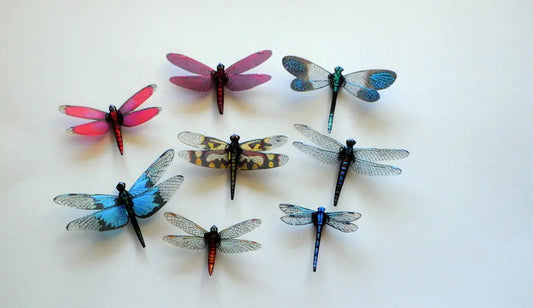 Dragonfly Magnets, Refrigerator Magnets, Fridge Magnets DougWalpusArtStudio
