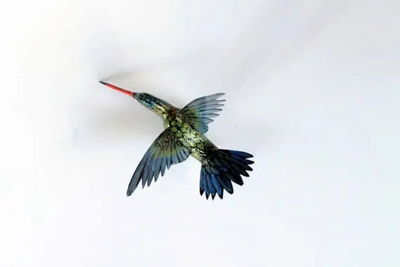 Hummingbird Magnet DougWalpusArtStudio