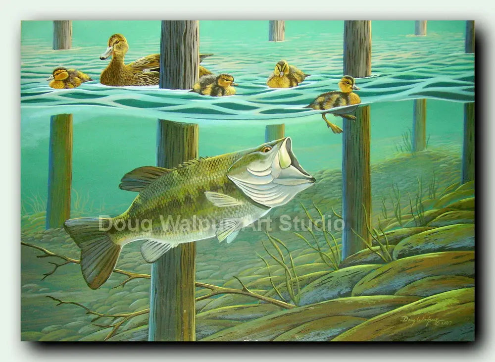 Largemouth bass fish print  Calm Before the Storm