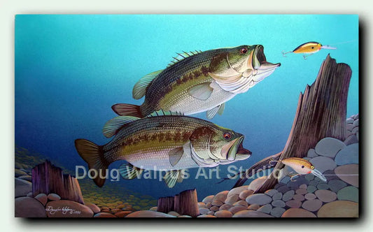 Largemouth bass fish art print DougWalpusArtStudio