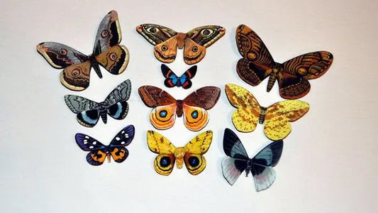 Moth Magnets Set of 10 DougWalpusArtStudio