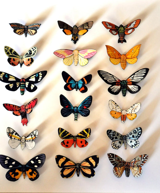 Moth Magnets Set of 18 DougWalpusArtStudio