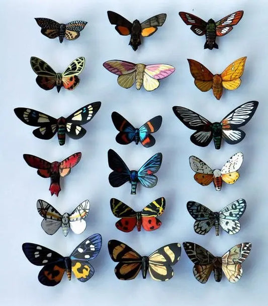 Moth Magnets set of 18 DougWalpusArtStudio