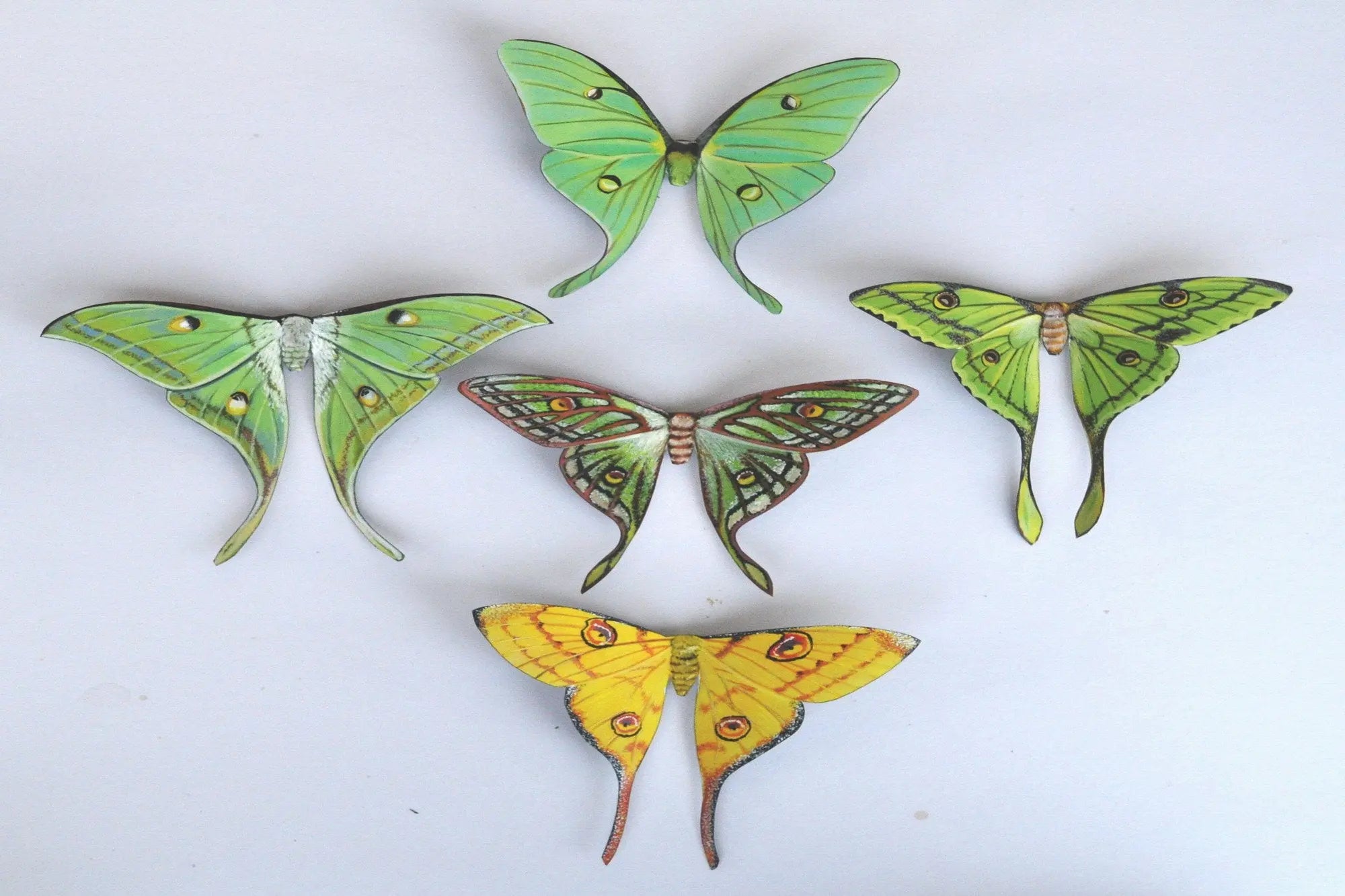 Moth Magnets set of 5, Refrigerator Magnets, Handmade – Doug Walpus Art ...