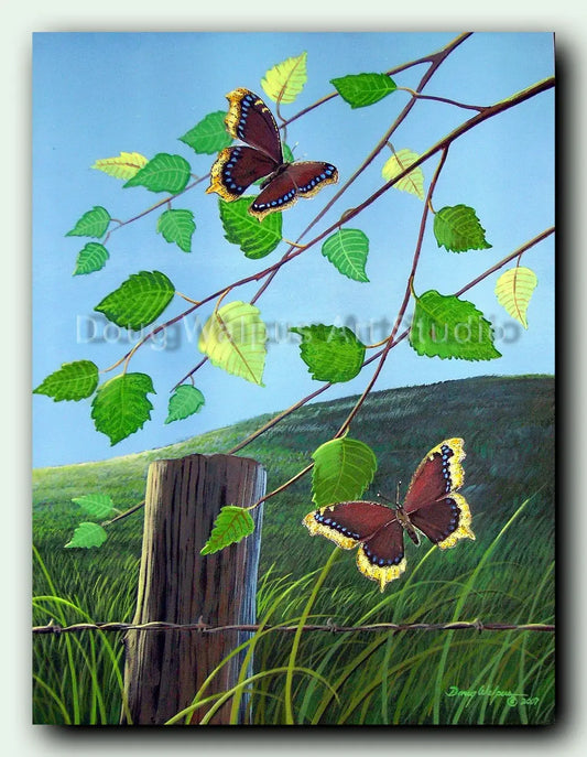 Mourning Cloak butterfly art print DougWalpusArtStudio
