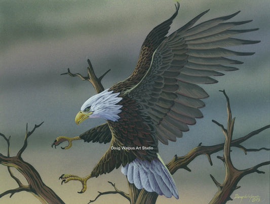Original Bald eagle watercolor painting DougWalpusArtStudio