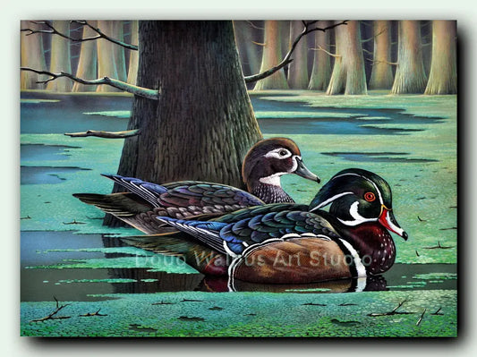 Original Wood Duck Painting DougWalpusArtStudio