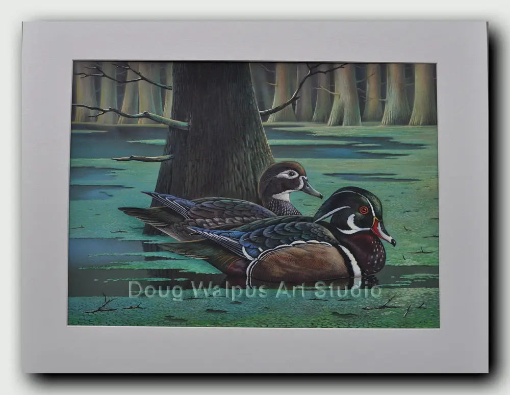 Original Wood Duck Painting DougWalpusArtStudio