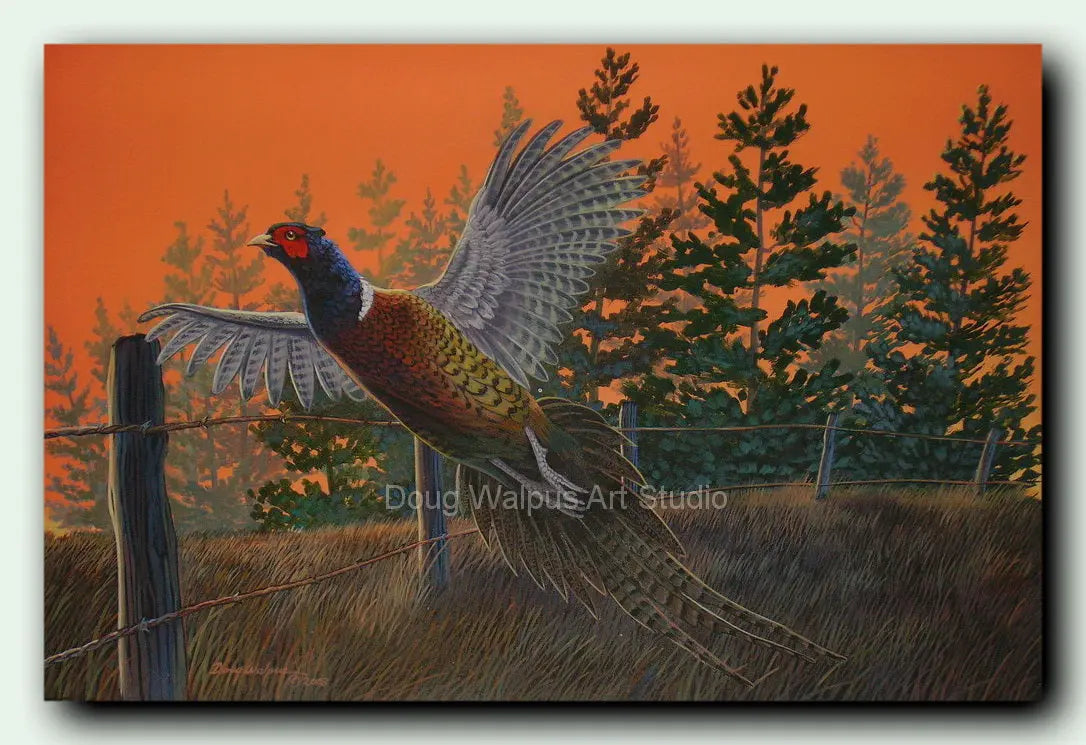 Pheasant game bird art print DougWalpusArtStudio