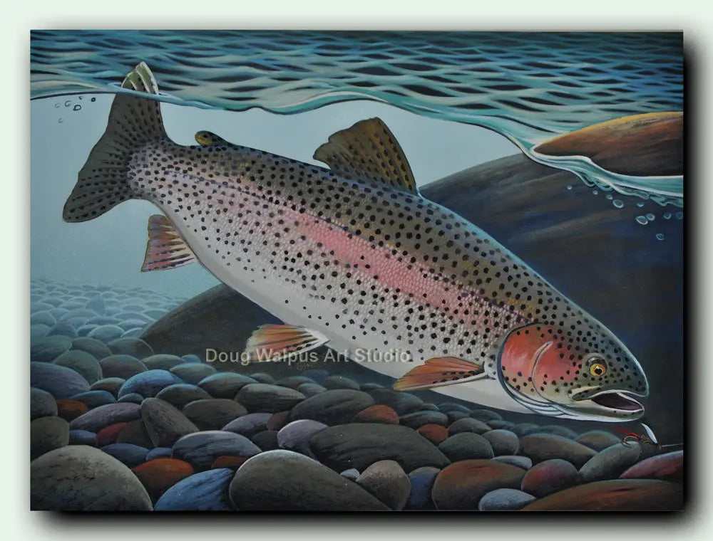 Rainbow trout art print DougWalpusArtStudio