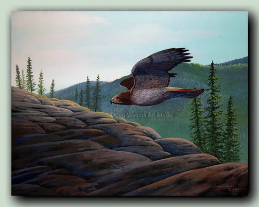 Red-tailed hawk art print DougWalpusArtStudio