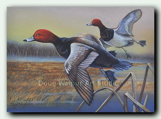 Redhead Duck Original Painting DougWalpusArtStudio