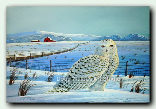 Snowy Owl art print DougWalpusArtStudio