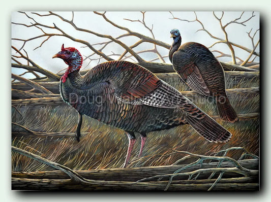 Wild Turkey Upland Game Bird Print DougWalpusArtStudio
